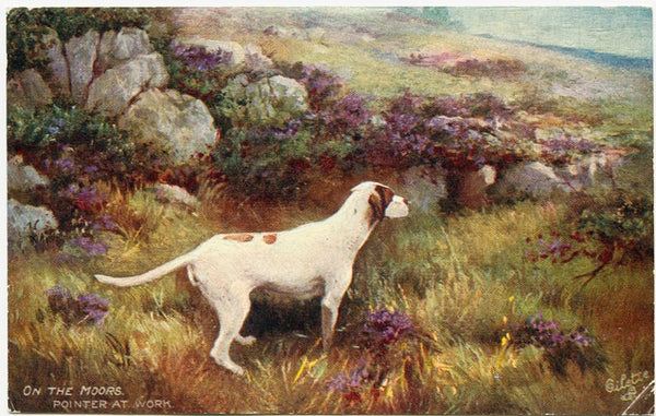 Tuck's 'Oilette' Postcard 'On the Moors'