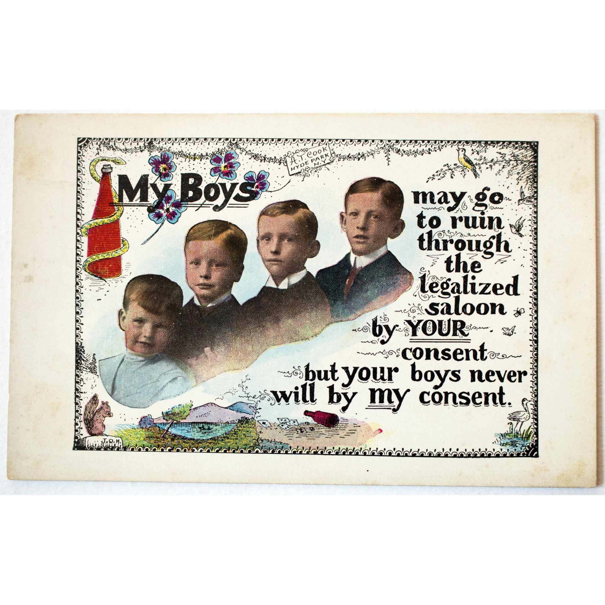 Temperance Postcard 'My Boys may go to ruin'