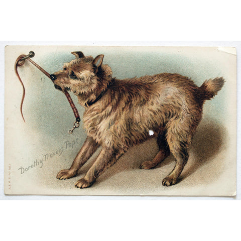 Dorothy Travers Pope Dog Postcard