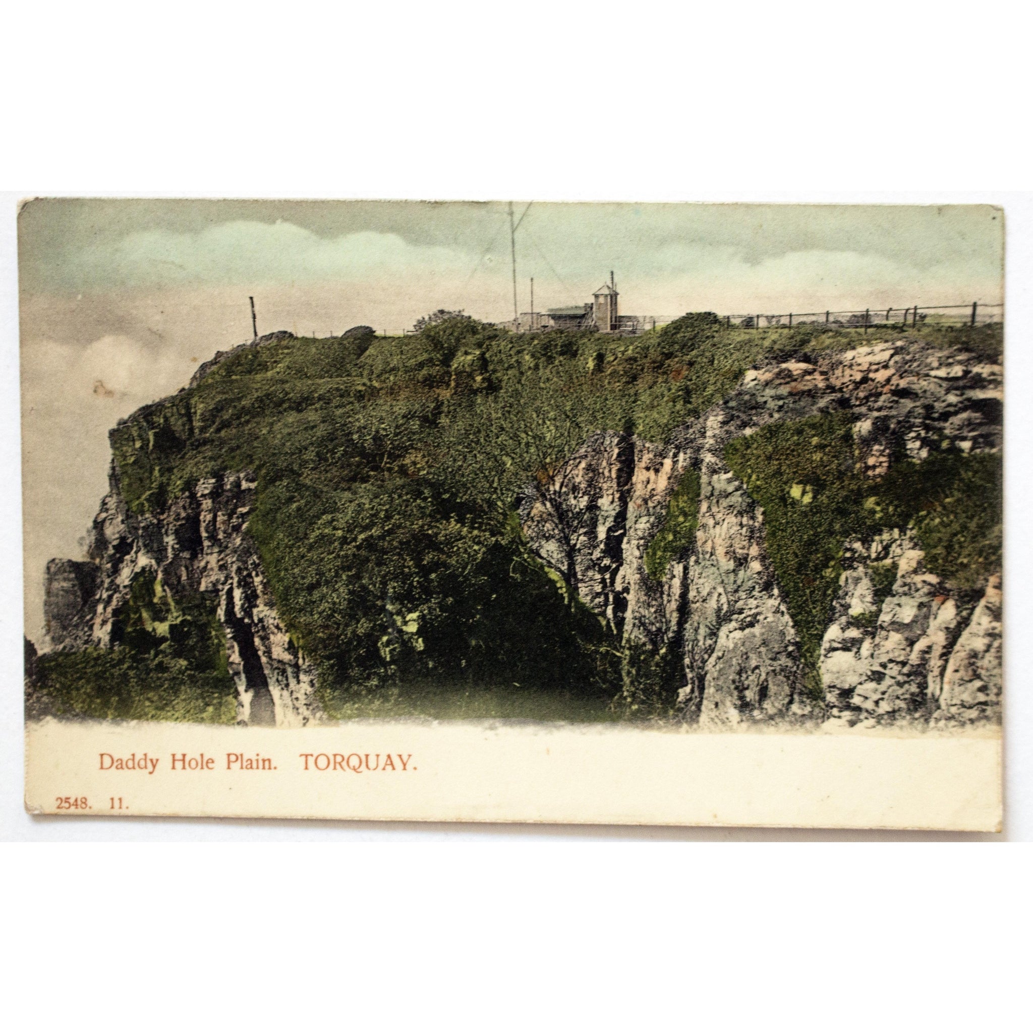 Frederick Hartmann Postcard 'Daddy Hole Plain, Torquay'