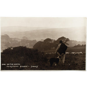 Judges Real Photograph Postcard 'On the Downs. Nr. Alfriston, Sussex'