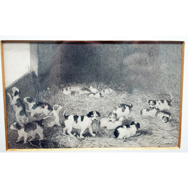 Bird's Eye Maple Framed and Glazed Puppies Engraving