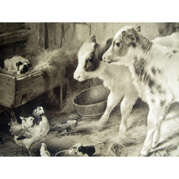 Photogravure 'The Dog in the Manger'