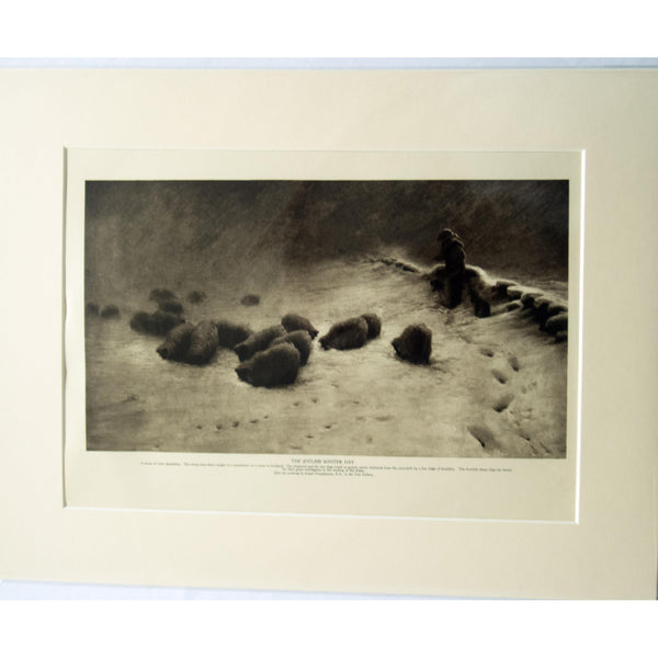 Photogravure 'The Joyless Winter Day'