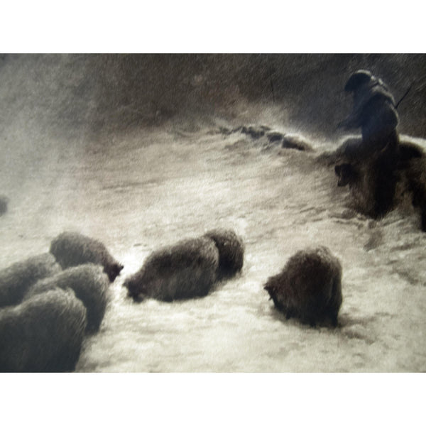 Photogravure 'The Joyless Winter Day'