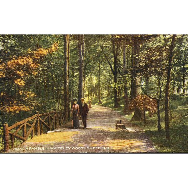 Photochrom Co. Postcard 'A Ramble in Whiteley Woods, Sheffield'