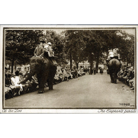 Photochrom Co. Ltd. Postcard 'At the Zoo. The Elephant's Parade'