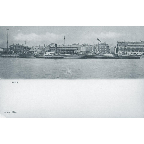 S. & D. Postcard 'Hull' Undivided Back