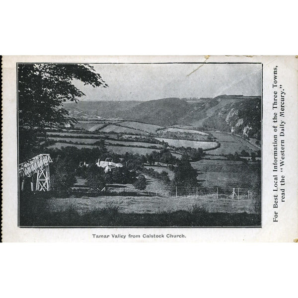 Western Daily Mercury Postcard 'Tamar Valley from Calstock Church'