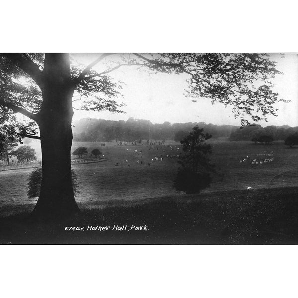 Frith's Real Photo Series Postcard 'Holker Hall, Park'