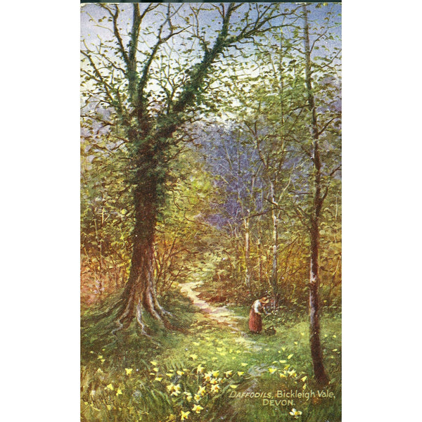 Tuck's 'Oilette' Postcard 'Daffodils, Bickleigh Vale, Devon'