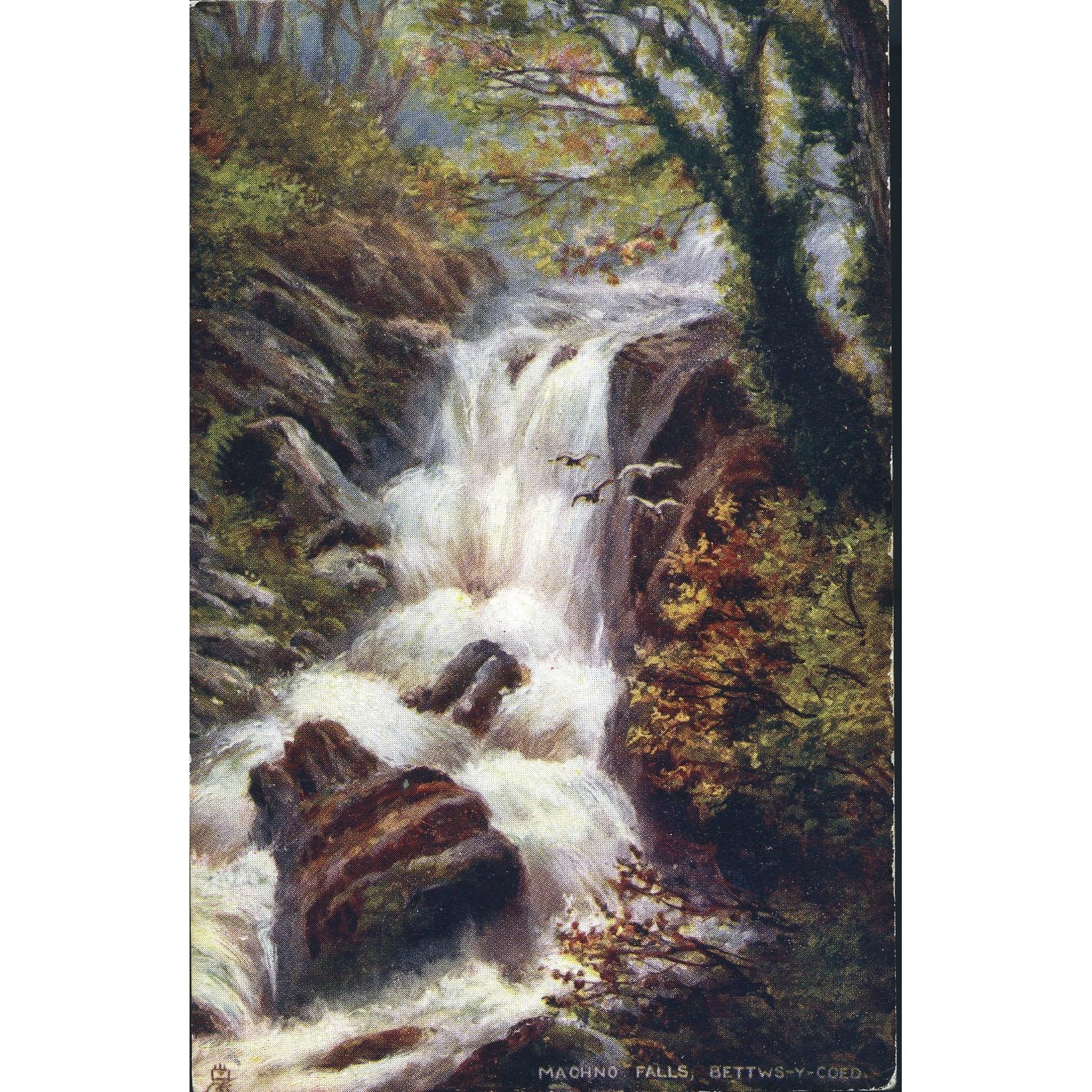 Tuck's 'Oilette' Postcard 'Machino Falls, Bettws-Y-Coed'