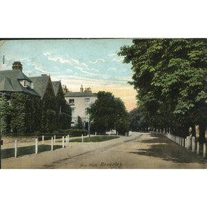 Frith & Co. Postcard 'New Walk, Beverly'