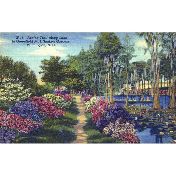 Curteich-Chicago 'C.T. Art-Colortone' Linen Postcard 'Azalea Trail...Greenfield Park Sunken Gardens, Wilmington, N.C.'