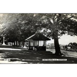 Frith Real Photographic Postcard 'View from Park Walk, Shaftesbury'