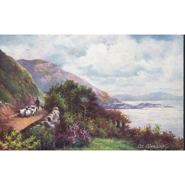 Tuck's 'Oilette' Postcard 'At Aberdovey'