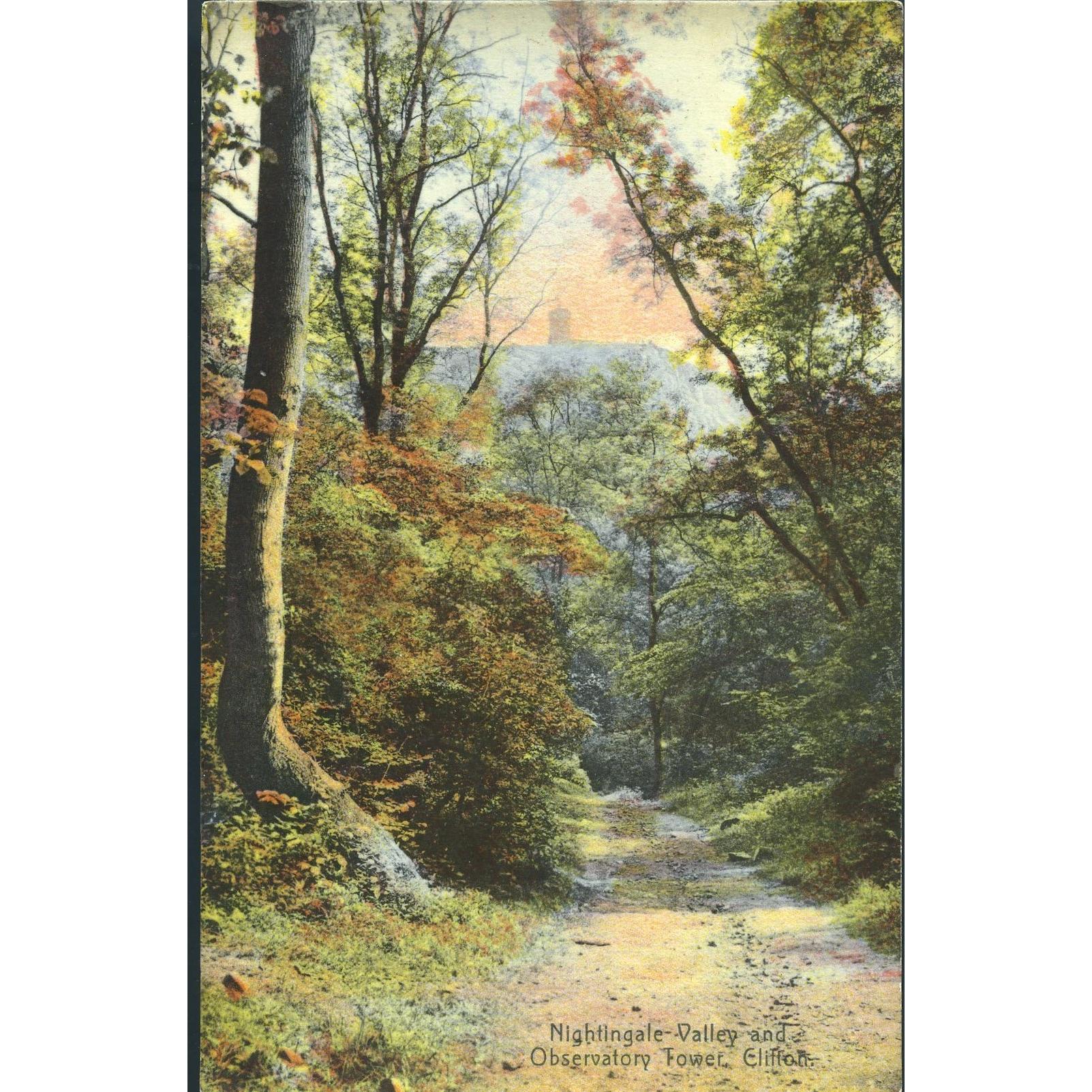 Avonvale Glossy Series Postcard 'Nightingale Valley and Observatory Tower, Clifton'