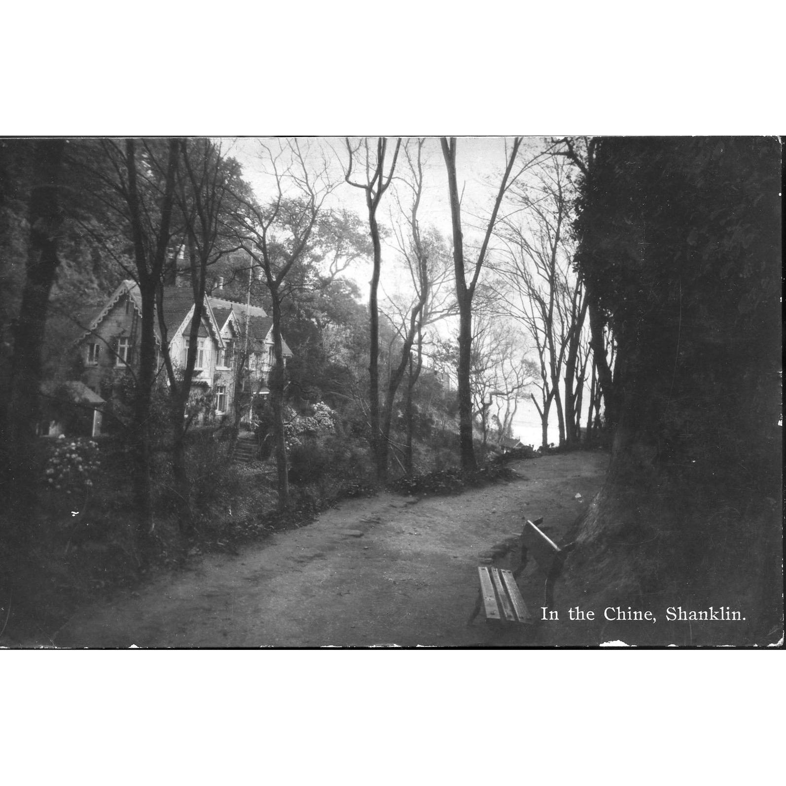 Milton 'Real Photographic' Postcard 'In the Chine, Shanklin'