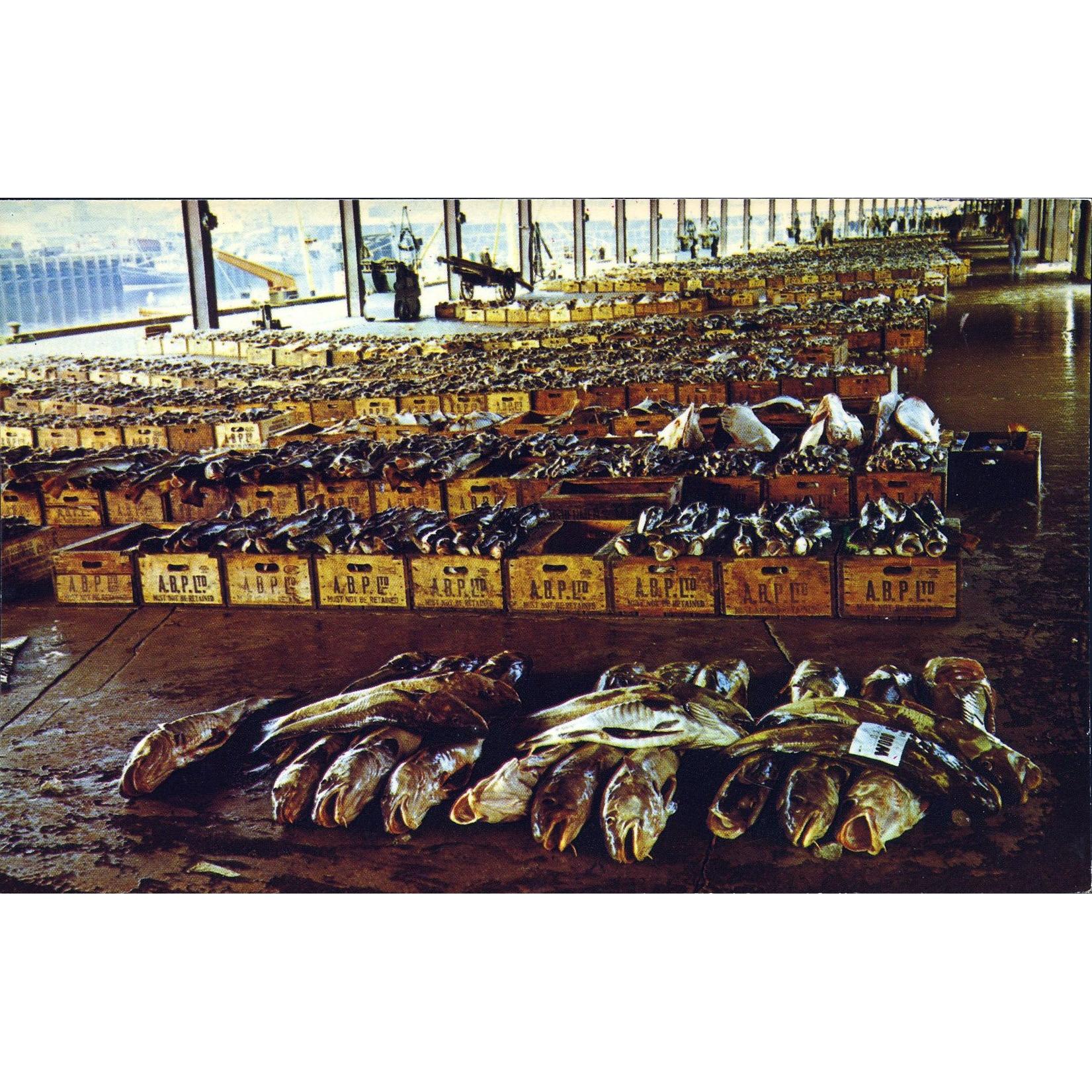 Colour Postcard 'Aberdeen Fish Market'