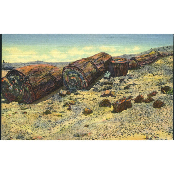 Curteich 'C.T. Art-Colortone' Linen Postcard 'Logs of Stone, Petrified Forest, Ariz.'