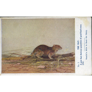 Nestle's Ideal Milk Advertising Postcard 'The Rat'