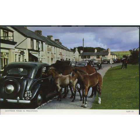 Jarrold & Sons Colour Postcard 'Dartmoor Ponies in Princetown'