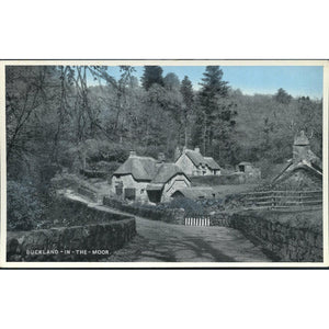 Postcard 'Buckland-in-the-Moor'