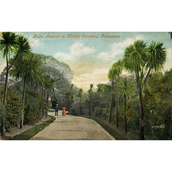 Valentine's Series Postcard 'Palm Avenue in Morab Gardens, Penzance'