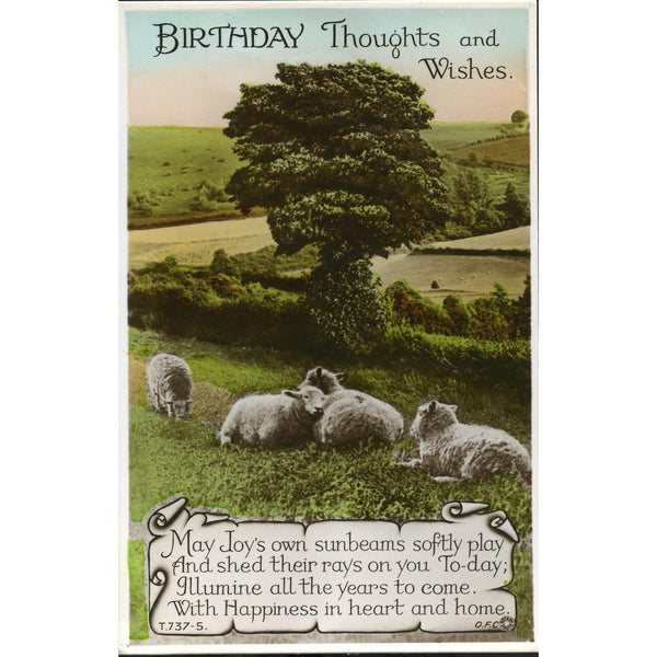 Rotary Photographic Co. Postcard 'Birthday Thoughts and Wishes'