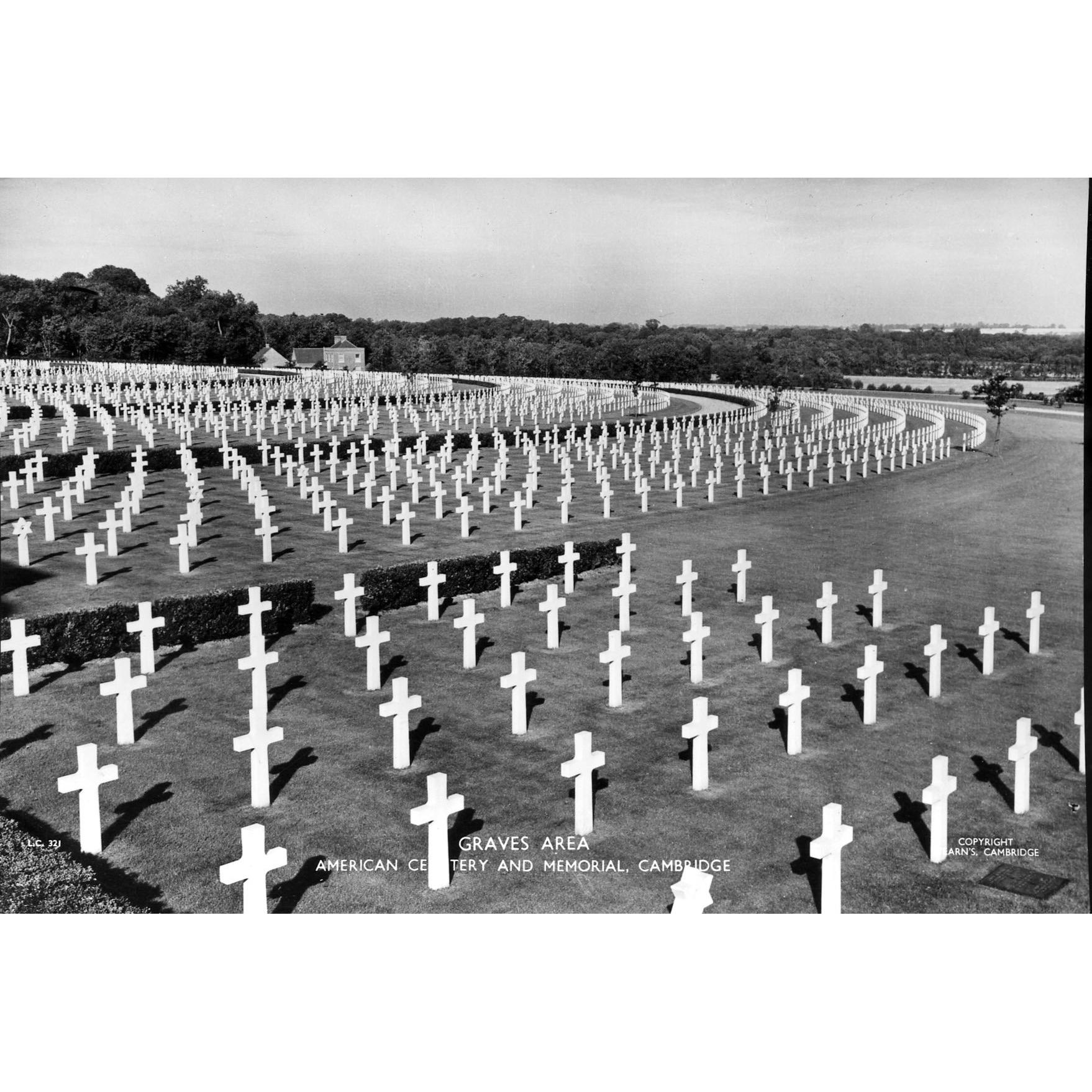 Real Photograph Postcard 'Graves Area, American Cemetery and Memorial, Cambridge'