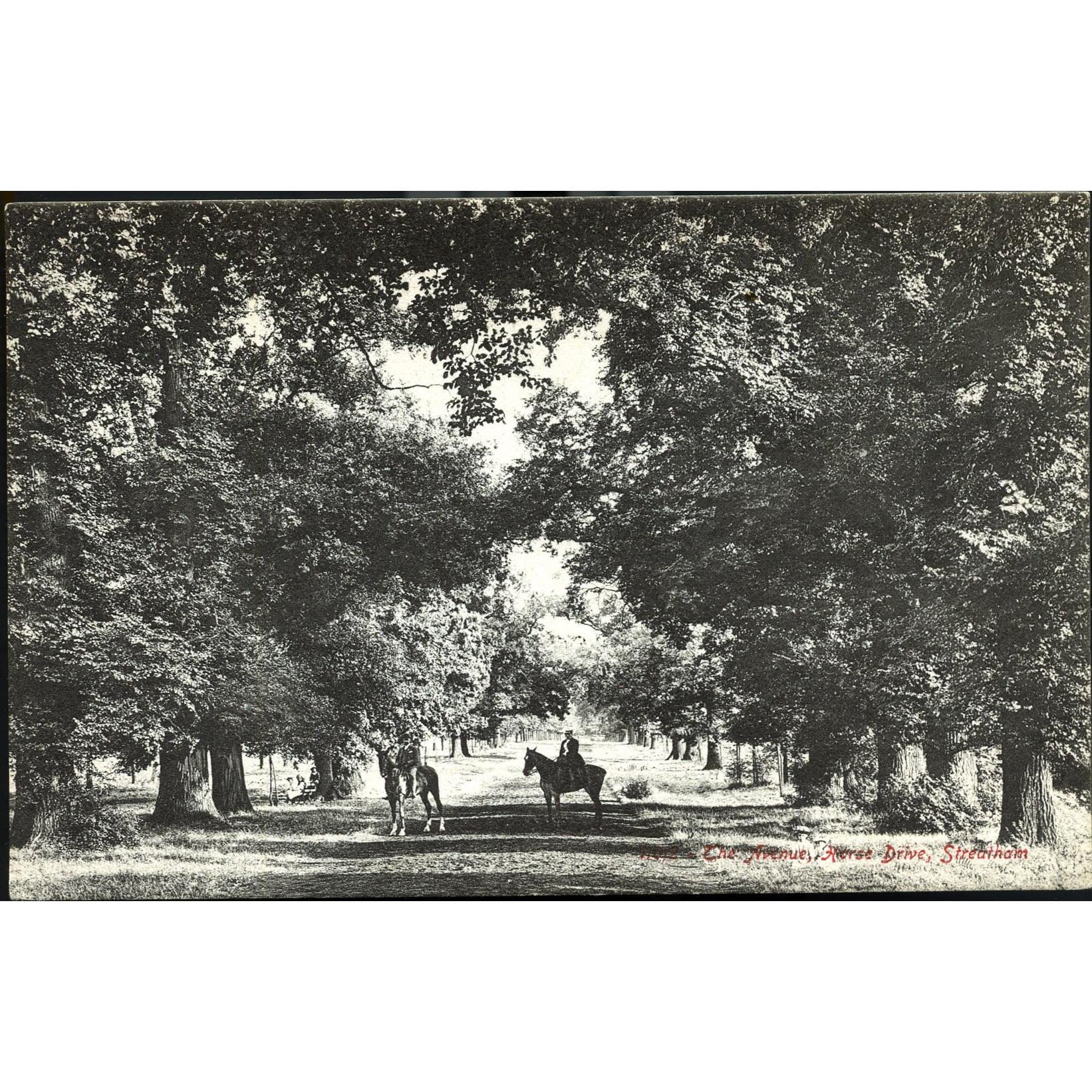 Over's Library Postcard 'The Avenue, Horse-Drive, Streatham'