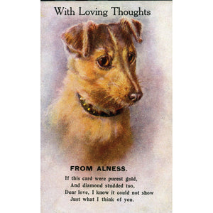 Dog Postcard 'With Loving Thoughts from Alness'