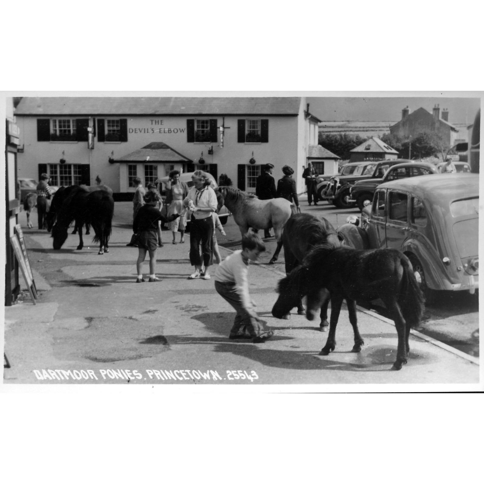 Chapman & Sons Real Photograph Postcard 'Dartmoor Ponies, Princetown'