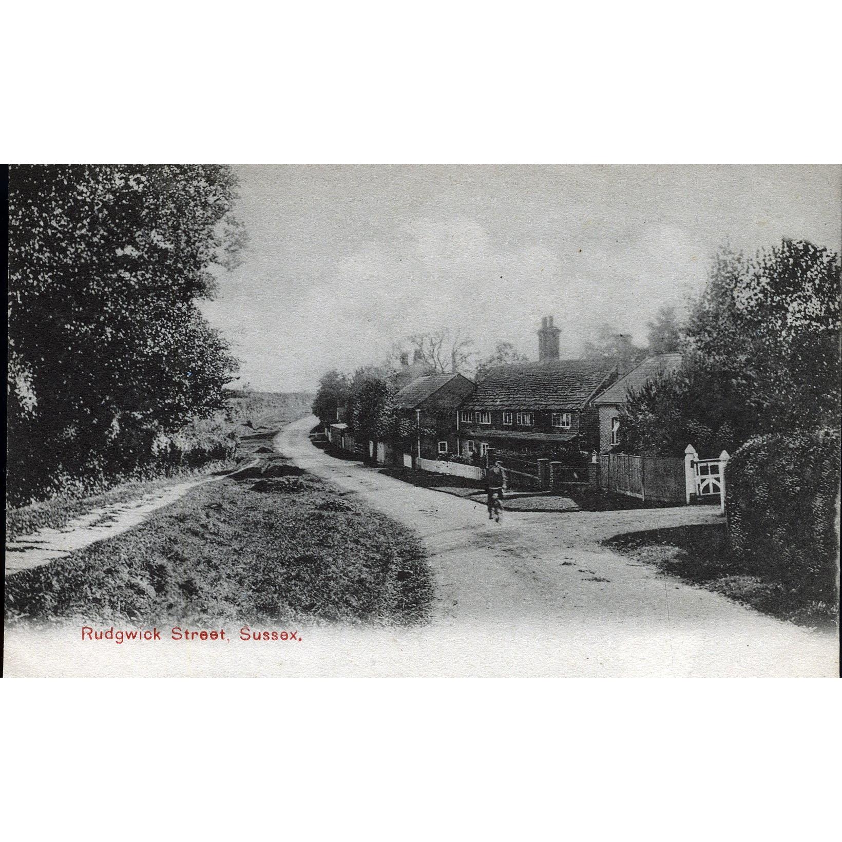 A.H. Homewood Printed Postcard 'Rudgwick Street, Sussex'