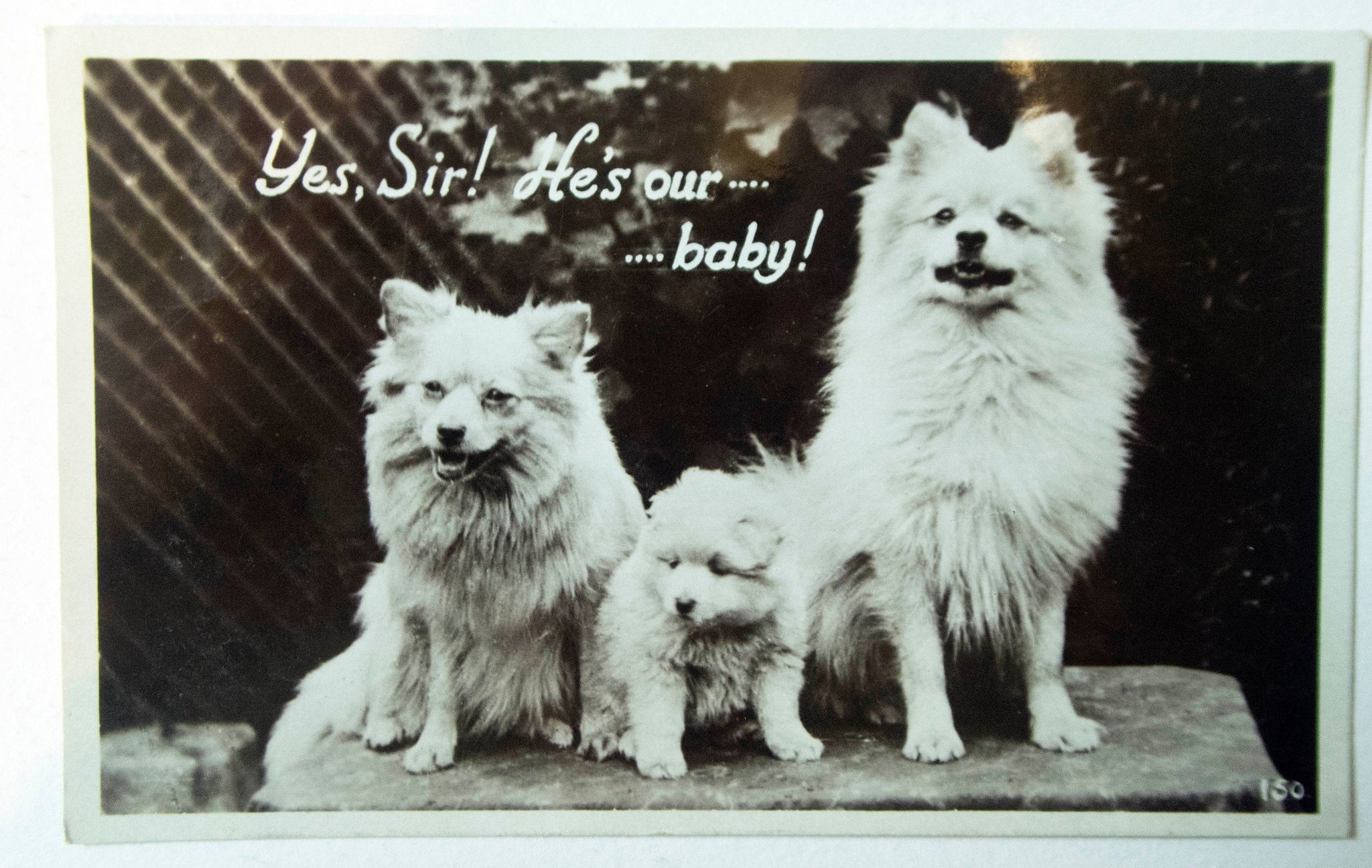 Real Photograph Postcard 'Yes, Sir! He's our...baby!'