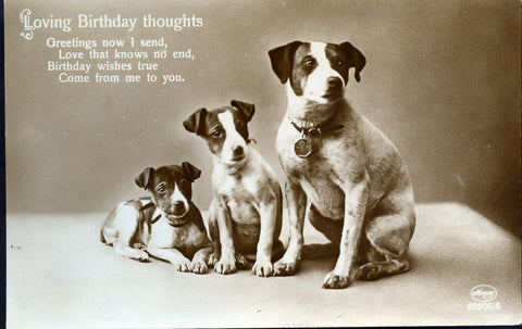 Albrecht & Meister (Amag) Real Photograph Postcard 'Loving Birthday Thoughts'