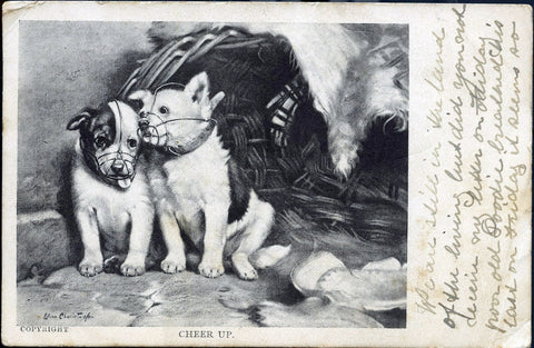 H.L.R. London Postcard 'Cheer up', Vintage Postcard, Dog Illustration