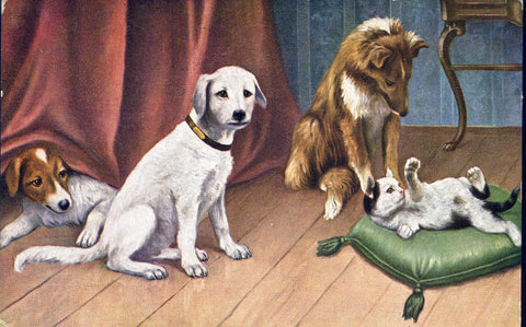 Vintage Dog Pet Postcard Illustration, Vintage Postcard Dogs and Cats, Vintage Illustration Animals