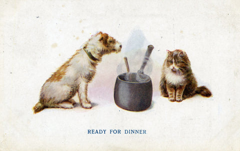 C. W. Faulkner Postcard of Dog and Cat 'Ready for Dinner', Vintage Dog Cat Kitten Postcard