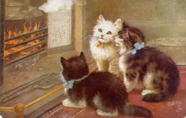 Vintage Tuck's 'Oilette' Cat Kittens Postcard, Vintage Postcard Kittens