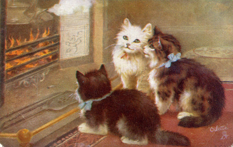 Vintage Tuck's 'Oilette' Cat Kittens Postcard, Vintage Postcard Kittens