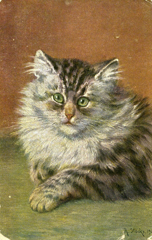 Vintage Cat Portrait Postcard, Vintage Kittens Postcard, Cat Illustration