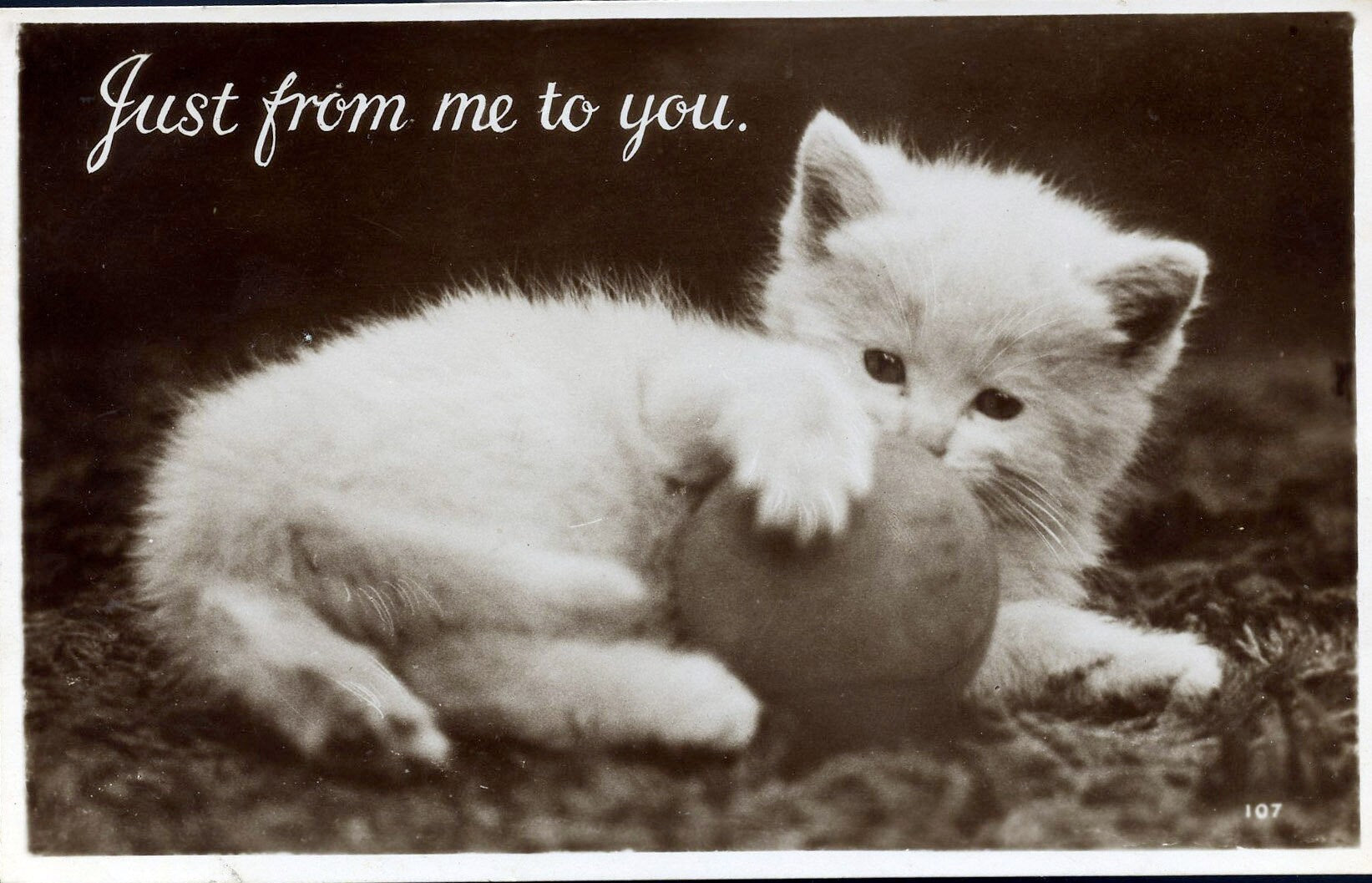 Vintage Real Photograph 'BB London' Kitten Postcard 'Just from me to you', Vintage Sepia Photo, Cat Postcard