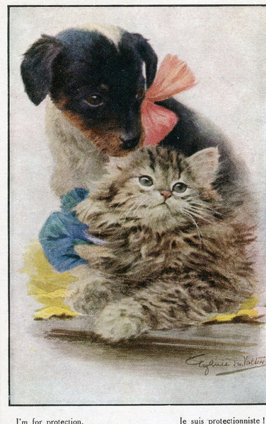 Vintage French Cat and Dog Postcard 'Je suis protectionniste!', Vintage Puppy Postcards, Kitten Postcards, Dogs and Cats