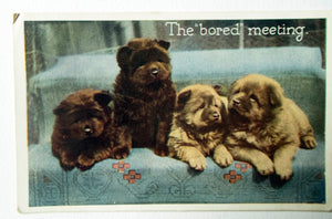 Regent Series Postcard 'The 'bored' meeting'