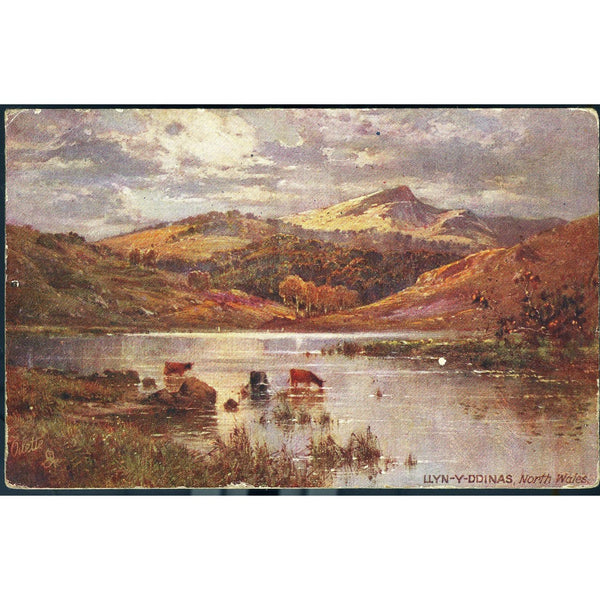 Tuck's 'Oilette' Postcard 'Llyn-y-DDinas, North Wales'