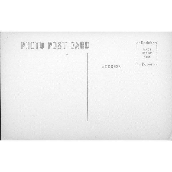 'Photo Post Card' Postcard 'All the smart people drink'