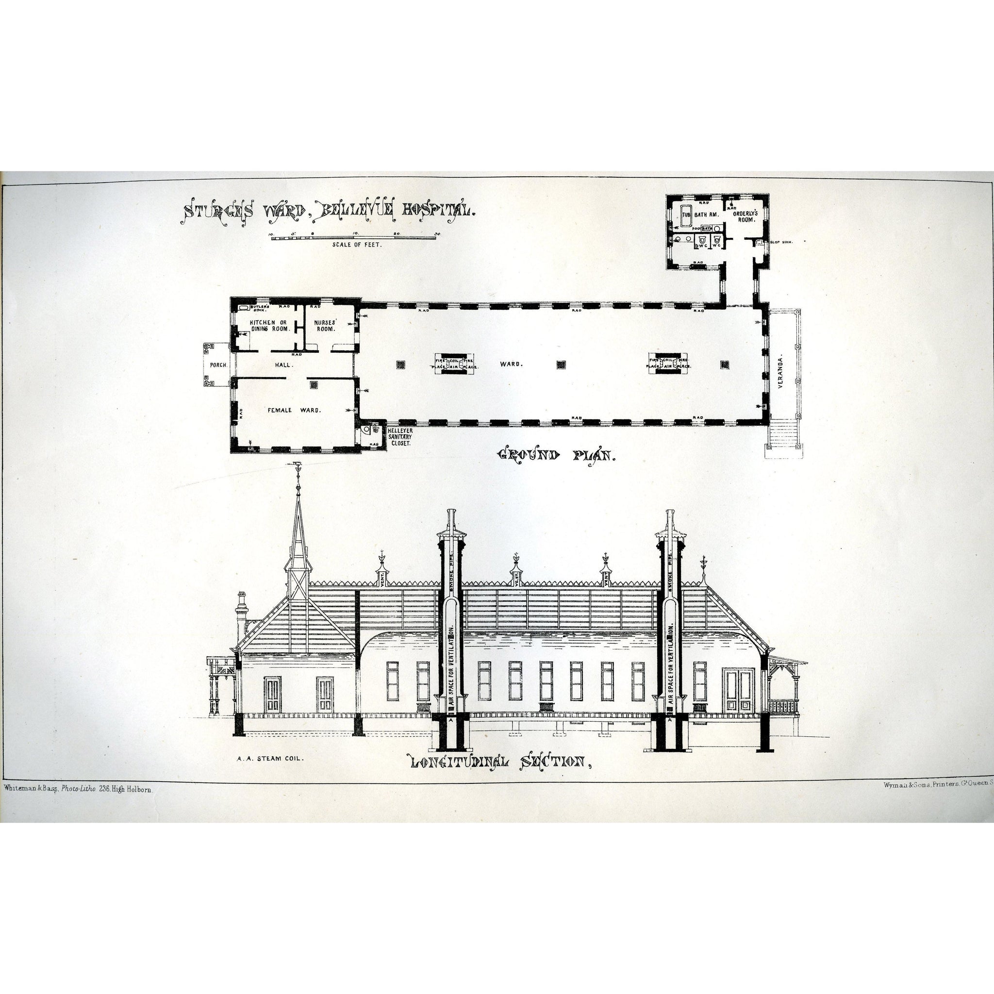 Architectural Plan 'Sturges Ward, Bellevue Hospital'