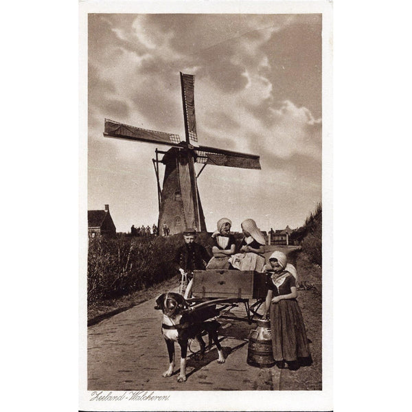 Dog Cart Postcard 'Zeeland - Walcheren'