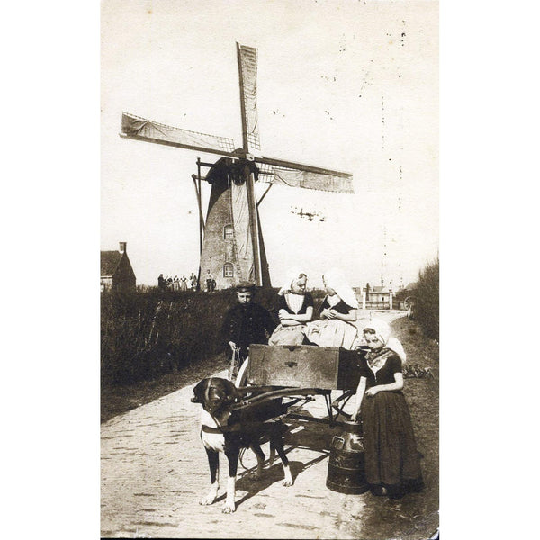 Dutch Dog Cart Postcard